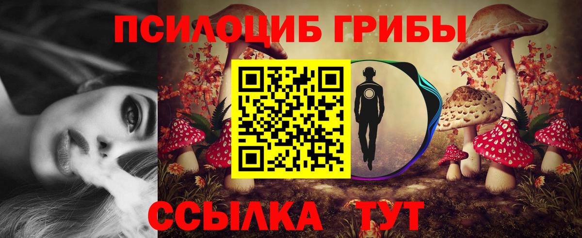 Псилоцибиновые грибы Psilocybine cubensis Ногинск
