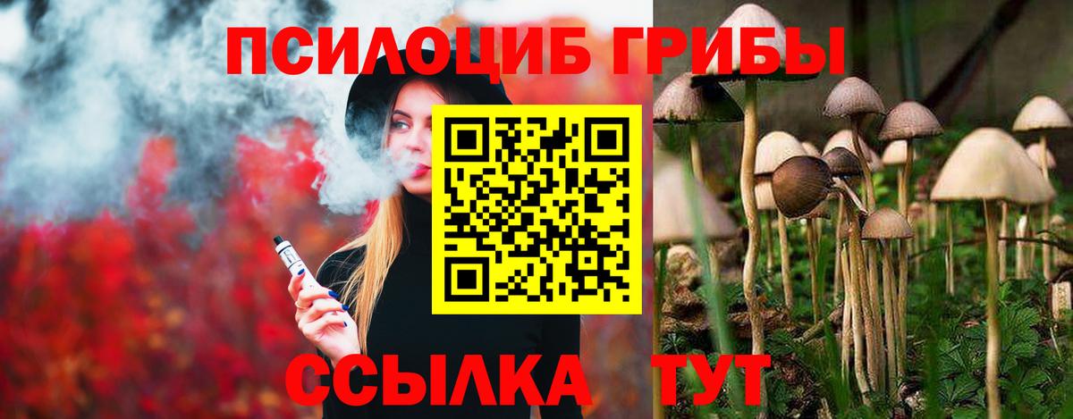 Ногинск  Псилоцибиновые грибы GOLDEN TEACHER  Вход с VPN  Галлюциногенные грибы MAGIC MUSHROOMS 